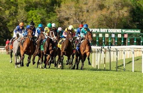 tampa bay downs entries today